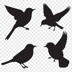 set of birds silhouettes on transparent background. eps 10