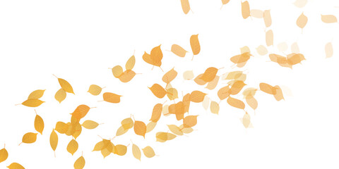 紅葉　もみじ　秋　背景	