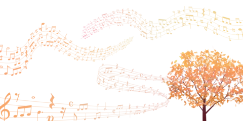 Fotobehang 紅葉　もみじ　秋　背景  © J BOY