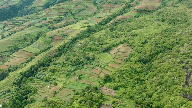 Aerial view of valley with farmland and agricultural land in mountainous area. Negros, Philippines