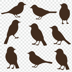 bird silhouettes, vector graphics, various poses, detailed bird shapes, minimalist design, ornithology illustration, nature clipart.