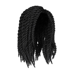 3d render braid dreadlock black hair isolated