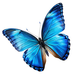  beautiful blue butterfly in full body close up  isolated on white background PNG, AI GENERATED