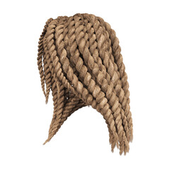 3d render braid dreadlock blonde hair isolated