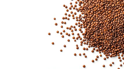 Pile of brown lentils on a white background