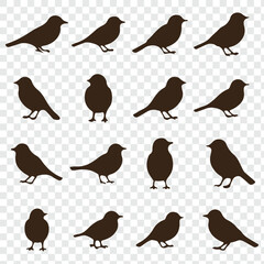bird silhouettes, vector graphics, various poses, detailed bird shapes, minimalist design, ornithology illustration, nature clipart.