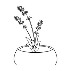 Elegant black and white illustration of lavender flowers in a simple ceramic pot