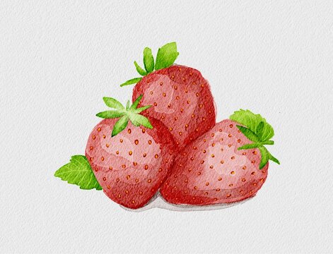 Strawberry watercolor - procreate