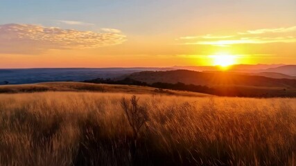 Golden sunset over a rural landscape with rolling hills and tall grass fields in warm lighting during golden hour.