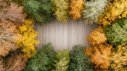 Vibrant autumn trees surround wooden pathway, creating serene and colorful scene
