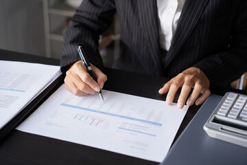 Auditor or internal revenue service staff, Business men checking annual financial statements of...