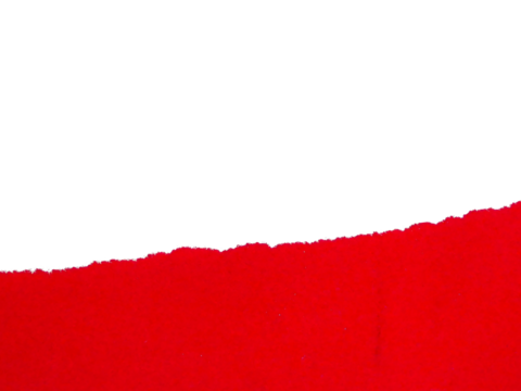 Pieces of torn or cut red paper, design elements isolated on transparent background.