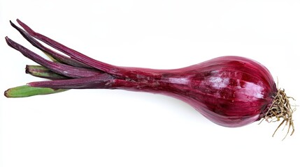 Single red onion with roots and green shoots isolated on white background.