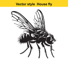Obraz premium View of a Housefly in Black and White Line Art