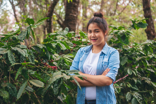 Smart farmer women holding smartphone digital tablet in eco green farm check quality control coffee tree. Woman worker Hands pointing screen device use technology planting tree in eco biotechnology - Powered by Adobe