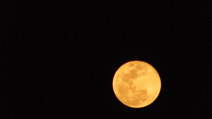 Obraz premium full moon in the night sky