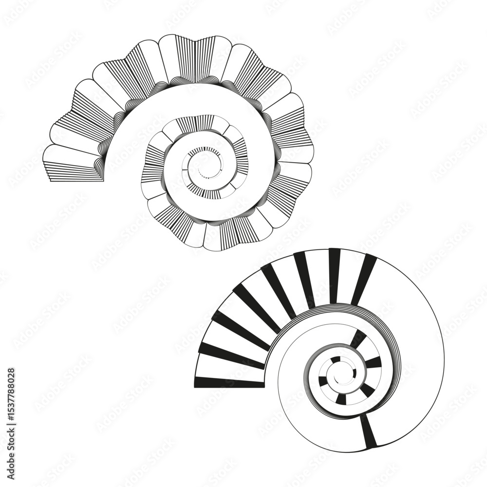 Poster spiral shell shapes. nautilus line elements. abstract swirl vector. black contour design.