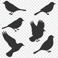 set of silhouettes of birds. eps 10.