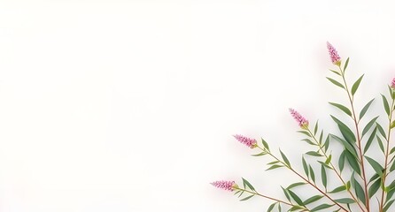 abstract floral background with flowers