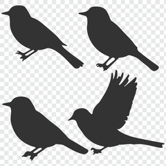 set of silhouettes of birds. eps 10.
