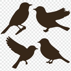 set of bird silhouette vector illustration. eps 10.