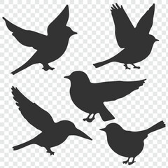 bird silhouette vector illustration. Vector elements for design. Birds icon set.