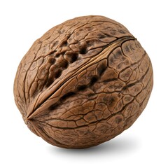 Obraz premium High-Resolution Image of a Single Walnut in Shell, Isolated on White Background