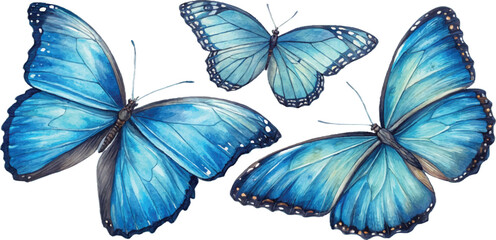 Three Watercolor Blue Morpho Butterflies