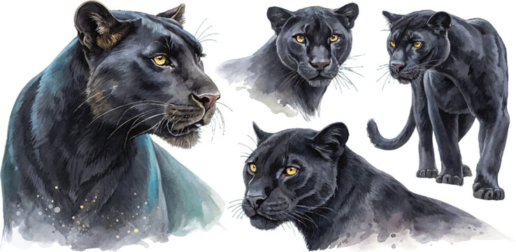Watercolor Black Panthers