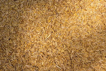 close-up shot of a dense layer of golden-yellow rice husks. The texture shows the individual hulls...