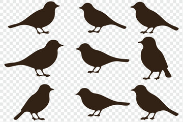 Set of bird silhouettes. Vector elements for design. perfect for logo design, art projects, and graphic design.