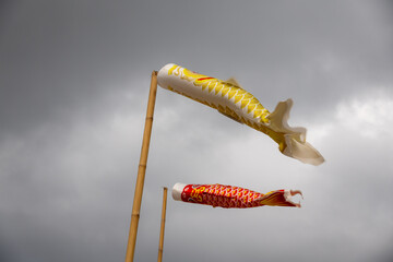 Two koinobori (carp streamers) flying against a cloudy sky. Traditional Japanese decorations for Children's Day