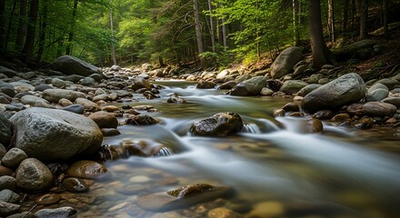 Serene Forest Stream Tranquil Water Flowing Over Smooth Stones