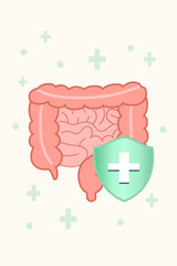 Gut Healing Process Illustration with Protective Shield and Healthy Intestine