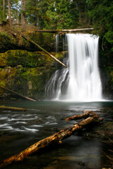 Obraz premium waterfall in the forest