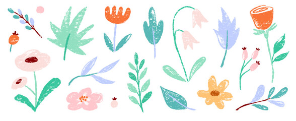 Flower crayon watercolor spring floral set. Hand drawn pastel crayon flower, leaf, plant with chalk texture. Cute nature background for kid, child, garden doodle element design. Vector illustration