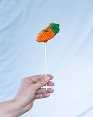 hand holding carrot cake pop