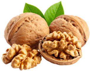 Walnuts with green leaves isolated on white background. Suitable for marketing or business purposes. PNG file