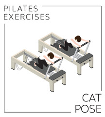 Pilates Exercise Cat Pose on the Reformer Vector