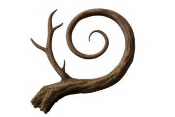 Deer antler growing in a spiral on a transparent background, perfect for fantasy and surreal projects