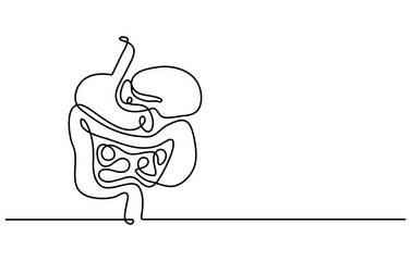 Obraz premium Continuous one line drawing of Human digestion. Single line drawing illustration of Human Digestive. Human anatomical concept vector art. Doodle line illustration.