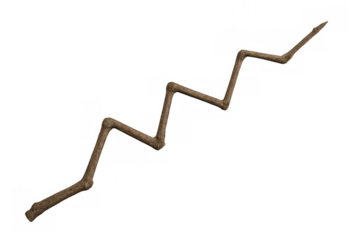 Weathered wooden stick forming intricate zigzag pattern, shot in studio against transparent backdrop