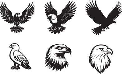 A black and white illustration of a bald eagle in flight with its wings spread wide.