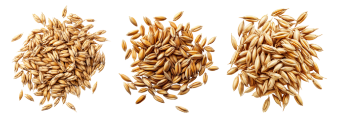 Different Varieties of Whole Raw Grains on Isolated Background, isolated on transparent background