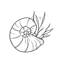 oceanic snail shell and seaweed