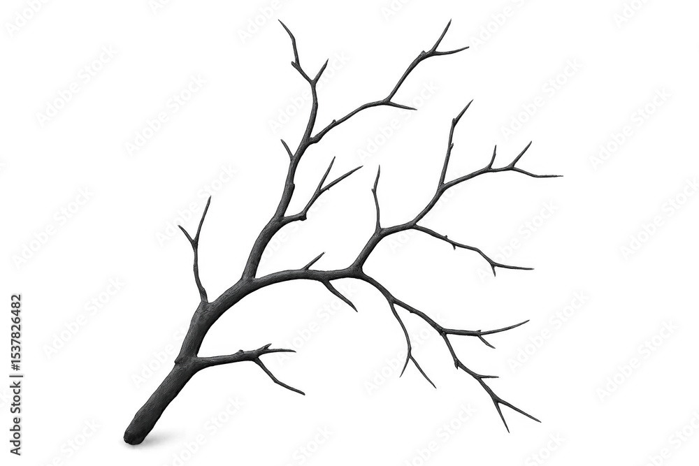 Poster 3d rendering of a bare tree branch, isolated on a transparent background, perfect for compositing an