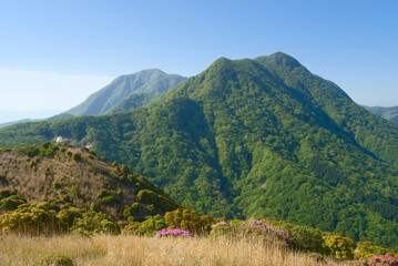 大分県の伽藍岳から望む鶴見岳と内山