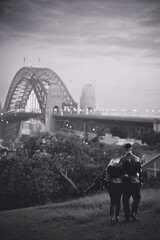 bridge over the river