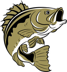 Bass Fish Illustration on Black Background