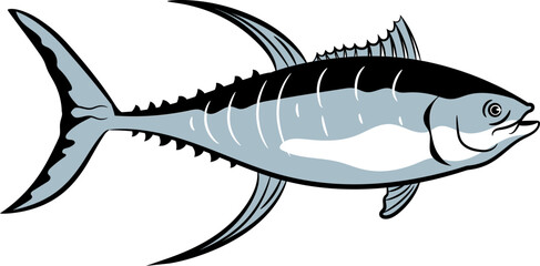 Illustration of a Tuna Fish